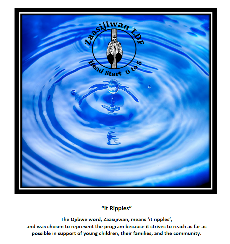 Website Cover